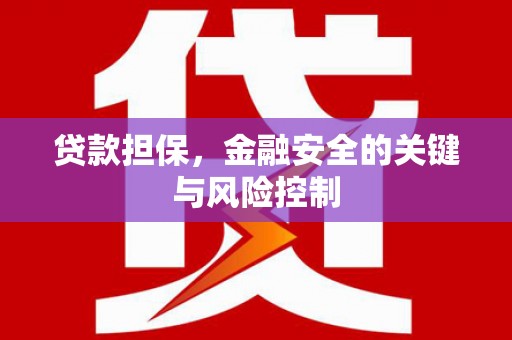 宝坻贷款担保，金融安全的关键与风险控制
