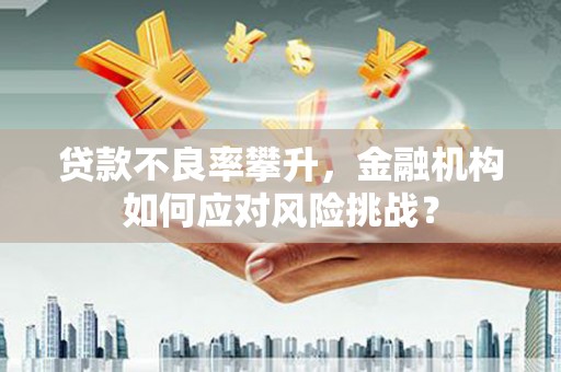 宝坻贷款不良率攀升，金融机构如何应对风险挑战？