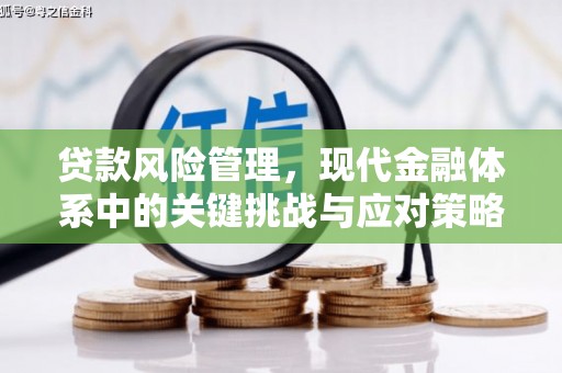 宝坻贷款风险管理，现代金融体系中的关键挑战与应对策略