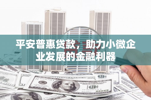 宝坻平安普惠贷款，助力小微企业发展的金融利器