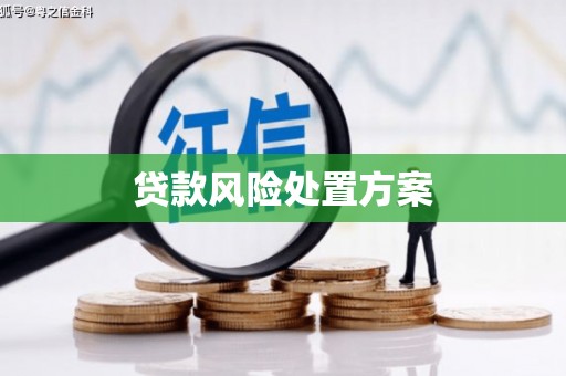 宝坻贷款风险处置方案