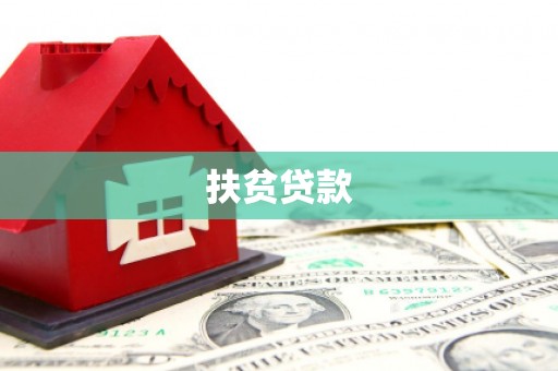 宝坻扶贫贷款