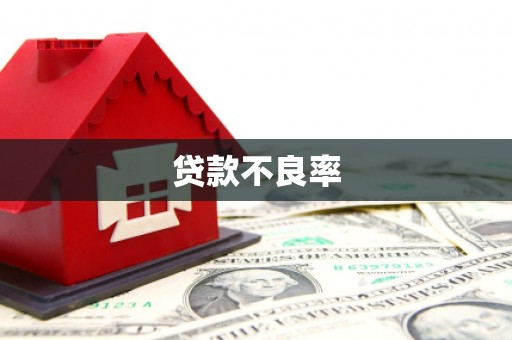 宝坻贷款不良率