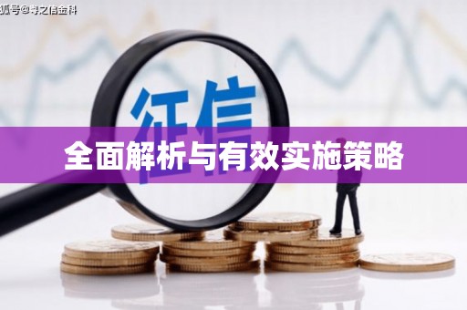 宝坻全面解析与有效实施策略